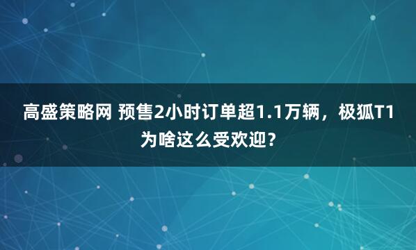 高盛策略网 预售2小时订单超1.1万辆，极狐T1为啥这么受欢迎？
