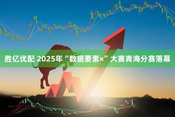 胜亿优配 2025年“数据要素×”大赛青海分赛落幕