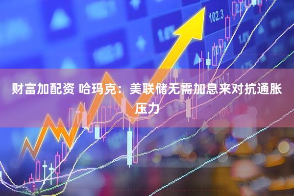 财富加配资 哈玛克：美联储无需加息来对抗通胀压力