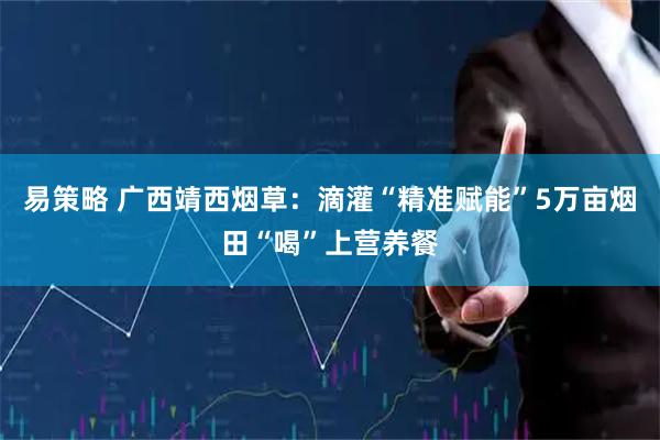 易策略 广西靖西烟草：滴灌“精准赋能”5万亩烟田“喝”上营养餐